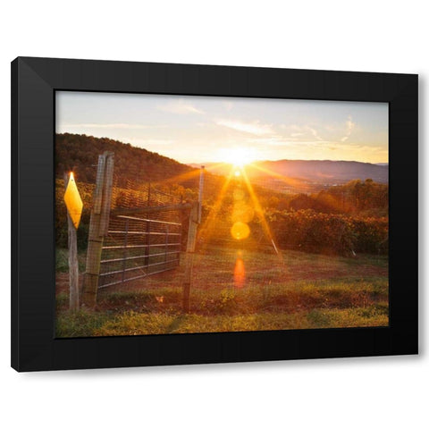 Farm Study VII Black Modern Wood Framed Art Print by Mead, Adam