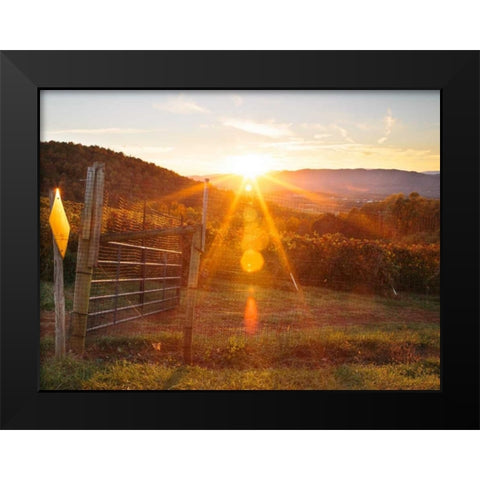 Farm Study VII Black Modern Wood Framed Art Print by Mead, Adam