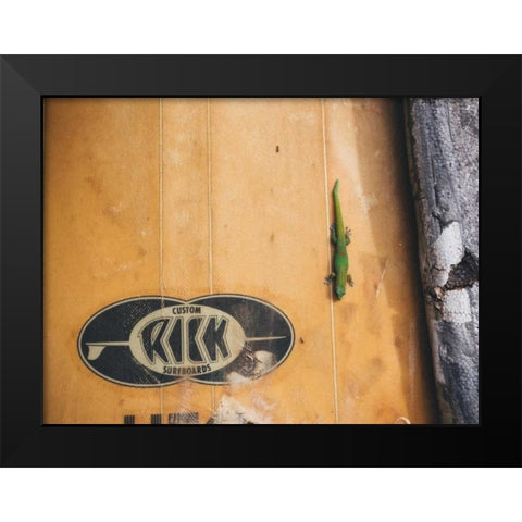 Hawaii View IX Black Modern Wood Framed Art Print by Mead, Adam