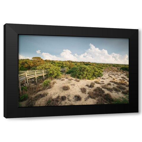 First Landing Dunes I Black Modern Wood Framed Art Print by Mead, Adam
