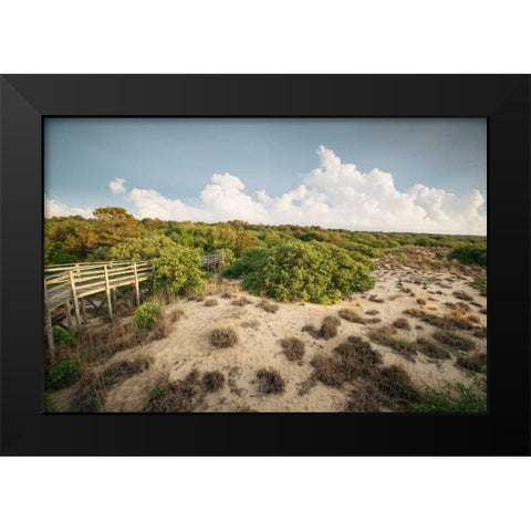 First Landing Dunes I Black Modern Wood Framed Art Print by Mead, Adam