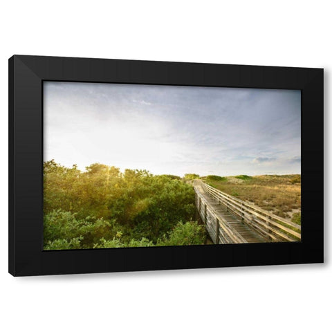 First Landing Dunes II Black Modern Wood Framed Art Print by Mead, Adam