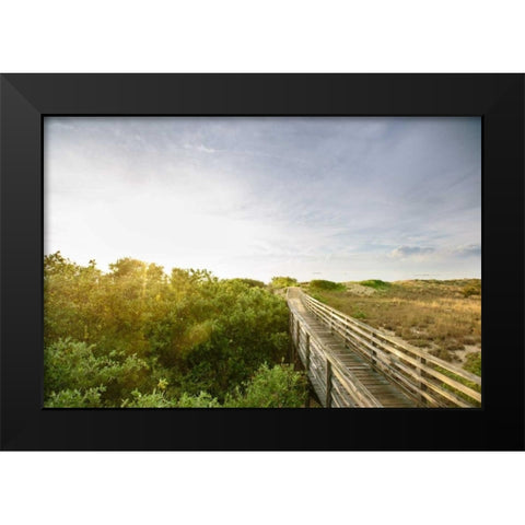 First Landing Dunes II Black Modern Wood Framed Art Print by Mead, Adam