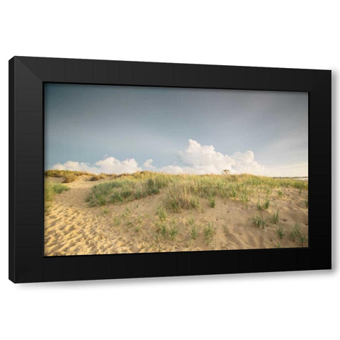First Landing Dunes V Black Modern Wood Framed Art Print by Mead, Adam
