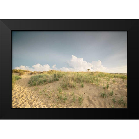 First Landing Dunes V Black Modern Wood Framed Art Print by Mead, Adam