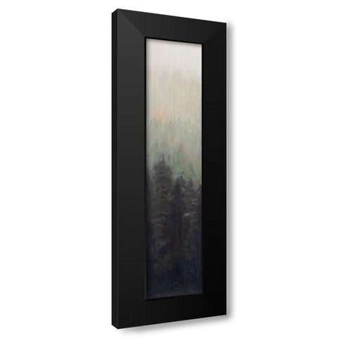 Pacific Northwest Panel I Black Modern Wood Framed Art Print with Double Matting by Iafrate, Sandra