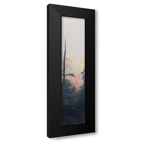 Pacific Northwest Panel V Black Modern Wood Framed Art Print with Double Matting by Iafrate, Sandra