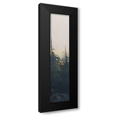 Pacific Northwest Panel VI Black Modern Wood Framed Art Print by Iafrate, Sandra