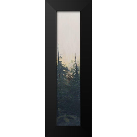 Pacific Northwest Panel VI Black Modern Wood Framed Art Print by Iafrate, Sandra