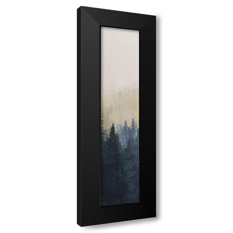 Pacific Northwest Panel VII Black Modern Wood Framed Art Print with Double Matting by Iafrate, Sandra