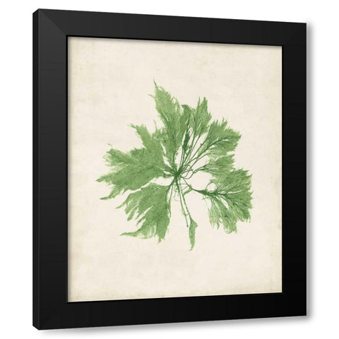 Peridot Seaweed I Black Modern Wood Framed Art Print by Vision Studio