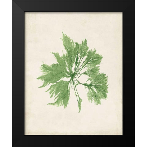 Peridot Seaweed I Black Modern Wood Framed Art Print by Vision Studio