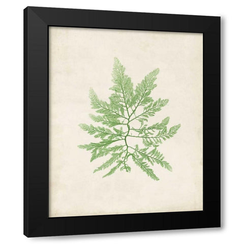 Peridot Seaweed II Black Modern Wood Framed Art Print with Double Matting by Vision Studio