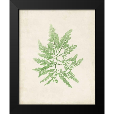 Peridot Seaweed II Black Modern Wood Framed Art Print by Vision Studio