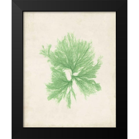 Peridot Seaweed III Black Modern Wood Framed Art Print by Vision Studio