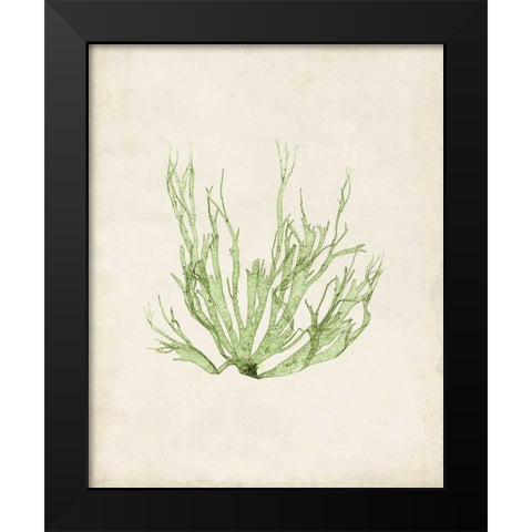 Peridot Seaweed IV Black Modern Wood Framed Art Print by Vision Studio