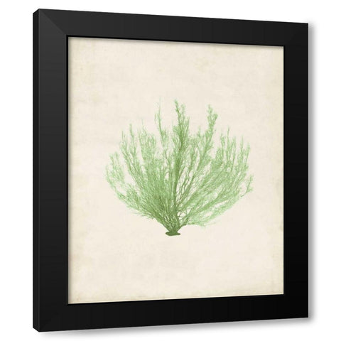 Peridot Seaweed VI Black Modern Wood Framed Art Print with Double Matting by Vision Studio