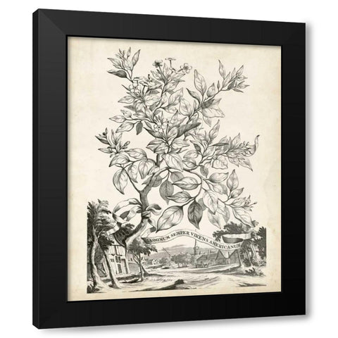 Scenic Botanical II Black Modern Wood Framed Art Print by Munting, Abraham