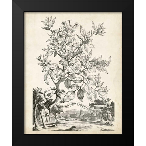 Scenic Botanical II Black Modern Wood Framed Art Print by Munting, Abraham