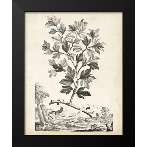 Scenic Botanical V Black Modern Wood Framed Art Print by Munting, Abraham