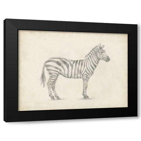 Zebra Sketch Black Modern Wood Framed Art Print by Harper, Ethan