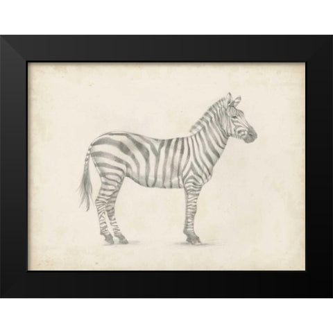 Zebra Sketch Black Modern Wood Framed Art Print by Harper, Ethan
