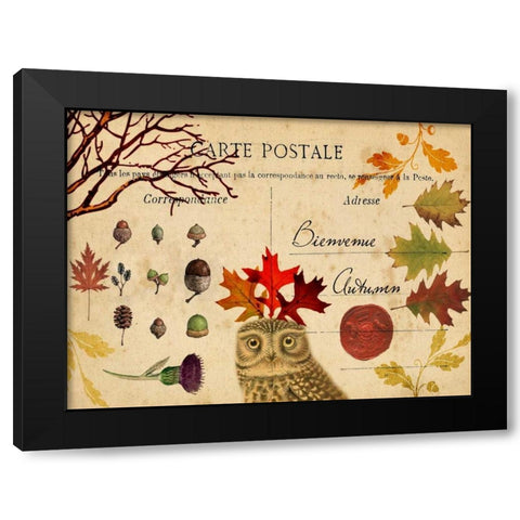 Collected Autumn V Black Modern Wood Framed Art Print with Double Matting by Lloyd, Sandy