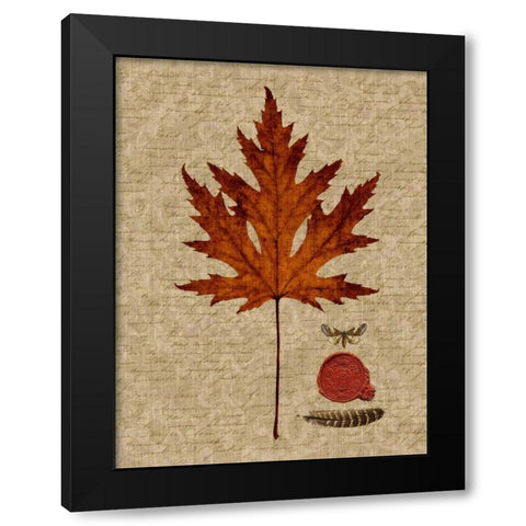 Autumn Leaf I Black Modern Wood Framed Art Print by Lloyd, Sandy