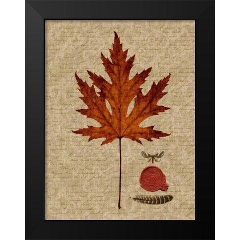 Autumn Leaf I Black Modern Wood Framed Art Print by Lloyd, Sandy