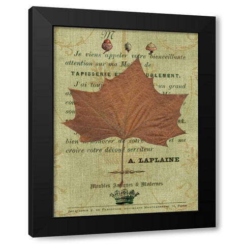 Autumn Leaf II Black Modern Wood Framed Art Print by Lloyd, Sandy