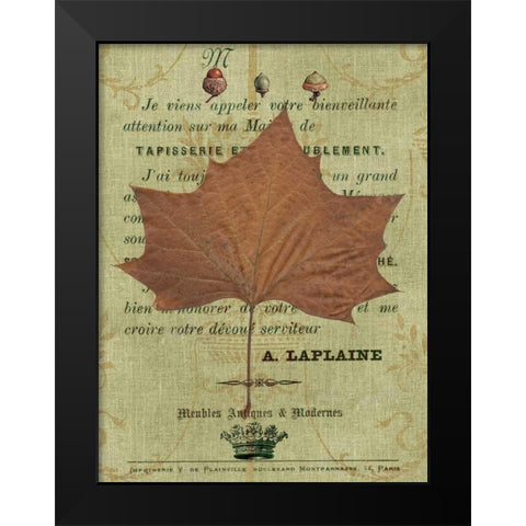 Autumn Leaf II Black Modern Wood Framed Art Print by Lloyd, Sandy