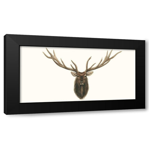 Elk Bust Black Modern Wood Framed Art Print with Double Matting by Popp, Grace