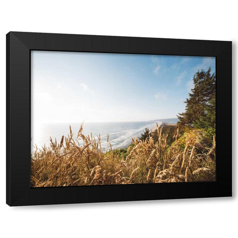 Pacific Northwest Oregon VIII Black Modern Wood Framed Art Print by Mead, Adam