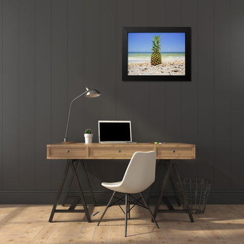 South Florida Pineapple II Black Modern Wood Framed Art Print by Mead, Adam