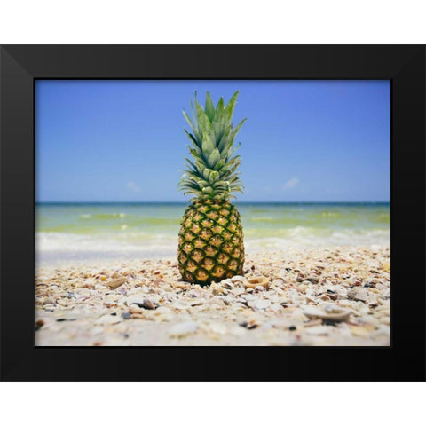 South Florida Pineapple II Black Modern Wood Framed Art Print by Mead, Adam
