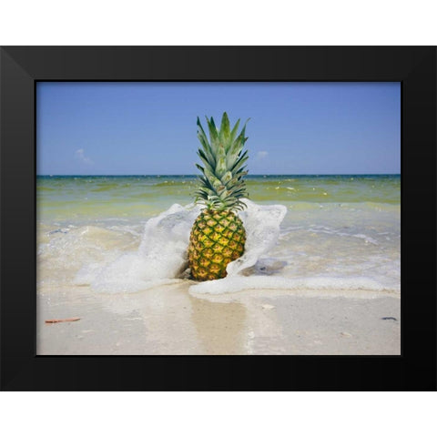 South Florida Pineapple IV Black Modern Wood Framed Art Print by Mead, Adam