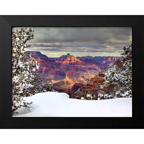 Snowy Grand Canyon I Black Modern Wood Framed Art Print by Drost, David