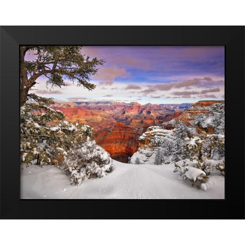 Snowy Grand Canyon II Black Modern Wood Framed Art Print by Drost, David