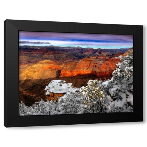 Snowy Grand Canyon IV Black Modern Wood Framed Art Print with Double Matting by Drost, David