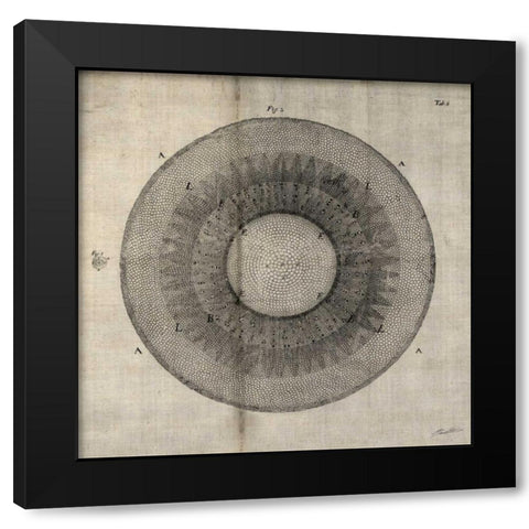 Cross Cut II Black Modern Wood Framed Art Print by Butler, John