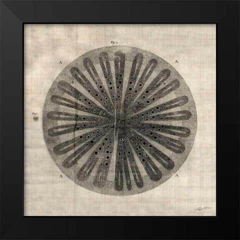 Cross Cut III Black Modern Wood Framed Art Print by Butler, John