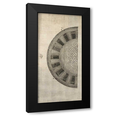 Cross Cut I Left Black Modern Wood Framed Art Print by Butler, John