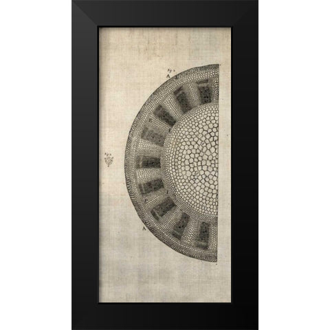 Cross Cut I Left Black Modern Wood Framed Art Print by Butler, John