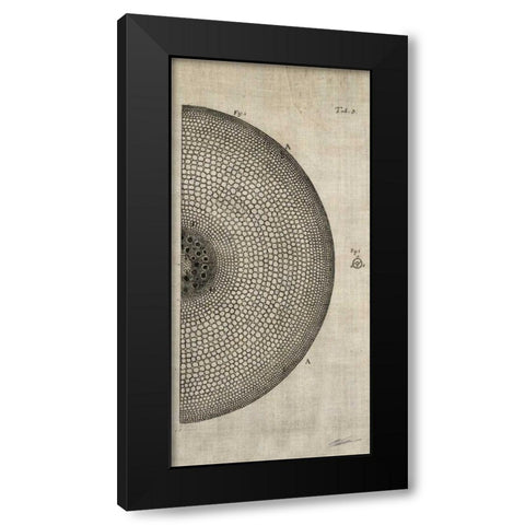 Cross Cut I Right Black Modern Wood Framed Art Print by Butler, John