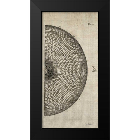 Cross Cut I Right Black Modern Wood Framed Art Print by Butler, John