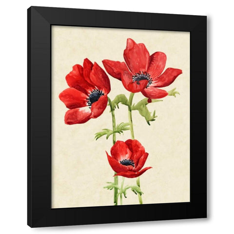 Heirloom Anemones I Black Modern Wood Framed Art Print with Double Matting by Popp, Grace
