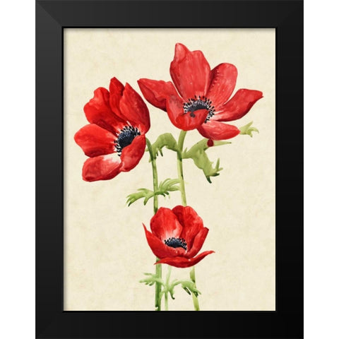 Heirloom Anemones I Black Modern Wood Framed Art Print by Popp, Grace
