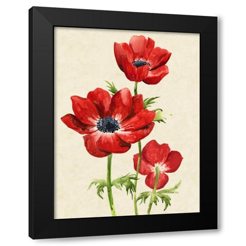 Heirloom Anemones II Black Modern Wood Framed Art Print with Double Matting by Popp, Grace