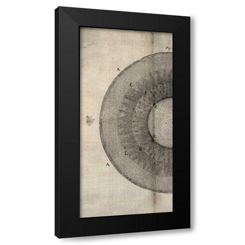 Cross Cut II Left Black Modern Wood Framed Art Print by Butler, John