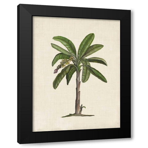 British Palms II Black Modern Wood Framed Art Print by McCavitt, Naomi